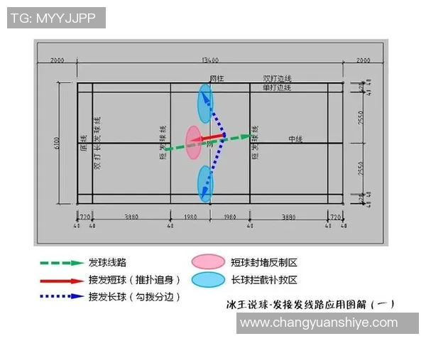 上海篮球队的节奏解析与战术演变探讨 上海篮球队的节奏解析与战术演变探讨