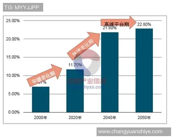 热议DOTA2LNG战术变革引发的战略思考与未来发展趋势分析